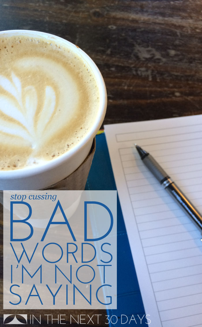 Shhhh. These are the bad words I'm not saying  during these 30 Days to stop cussing. | In The Next 30 Days